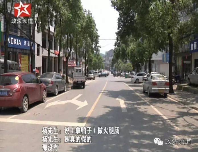 浏阳龙伏镇有人把小鸭子丢进搅拌机制作香肠?真相是