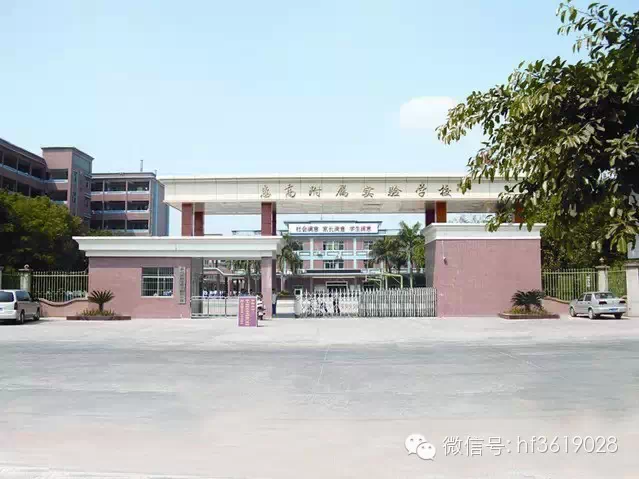 点击在新窗口中打开图片