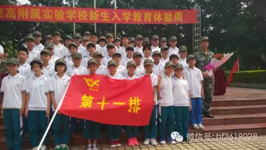 点击在新窗口中打开图片