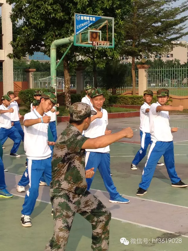 点击在新窗口中打开图片