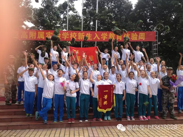 点击在新窗口中打开图片