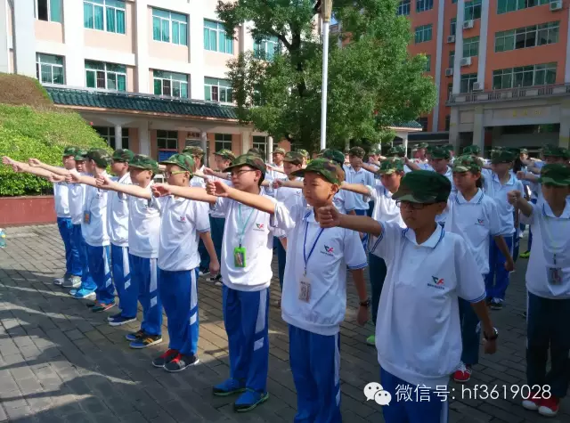 点击在新窗口中打开图片