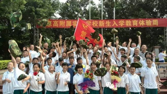 点击在新窗口中打开图片