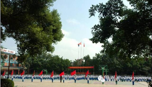 点击在新窗口中打开图片