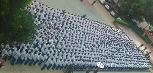 点击在新窗口中打开图片