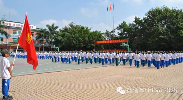 点击在新窗口中打开图片