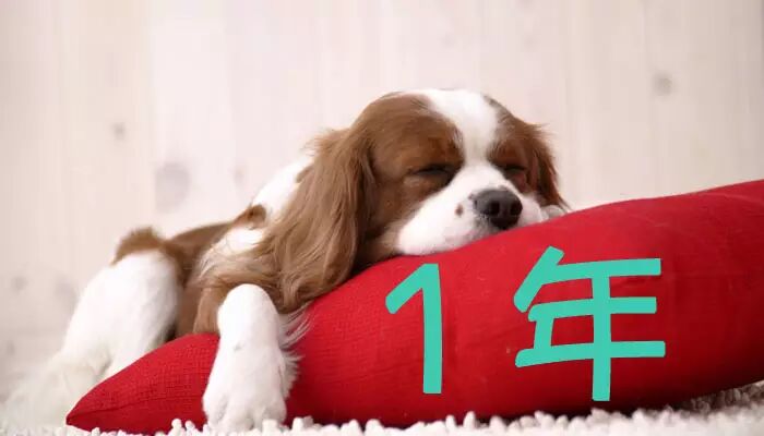 家里的16件东西你必须立刻扔掉！看完我马上就扔了！820 / 作者:桂花糕 / 帖子ID:113695