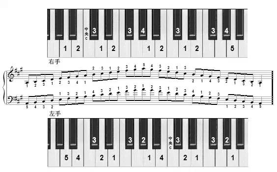 c大调常用音阶图:钢琴音阶图b调常用和弦图:a调常用和弦图:g调常用