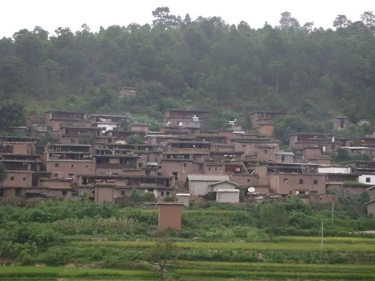 勐腊县勐腊镇曼龙勒村 砚山县者腊乡批洒村 丘北县温浏乡石别村 丘北