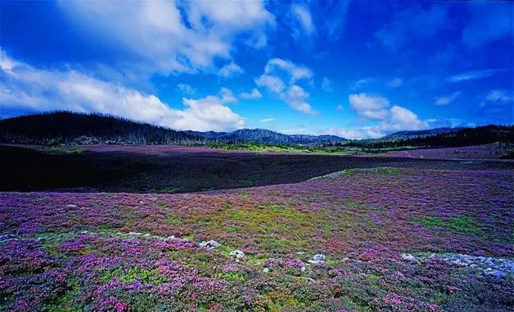 迪庆·千湖山 高原上的明镜