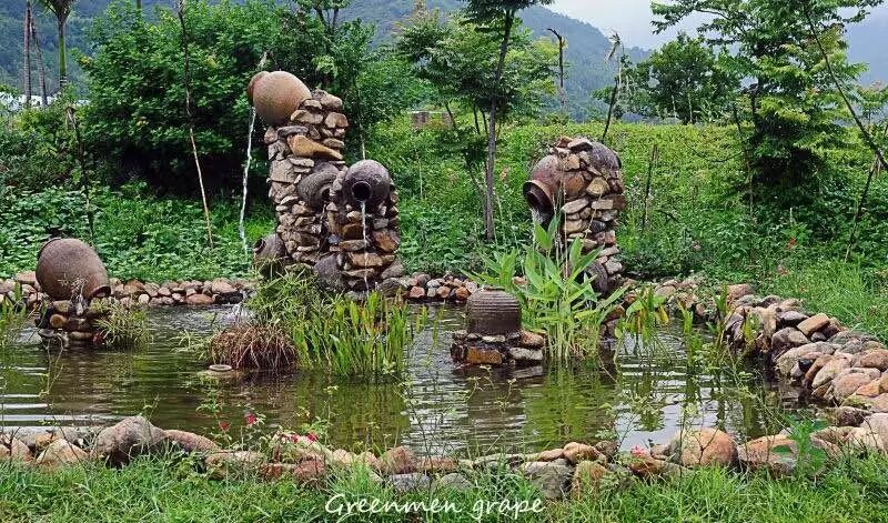 葡萄能卖到40块钱一斤,居然是因为“计划生育”!-怀孕期