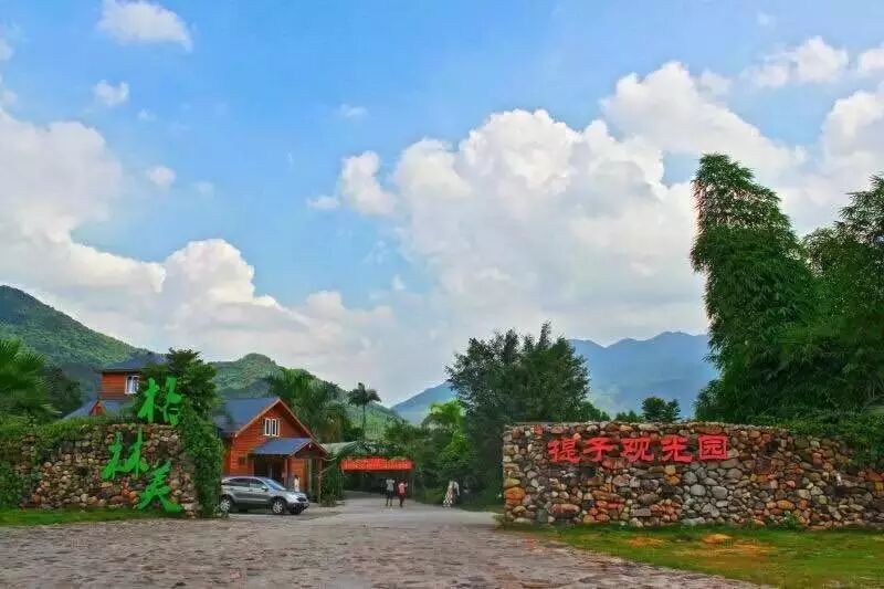 葡萄能卖到40块钱一斤,居然是因为“计划生育”!-怀孕期