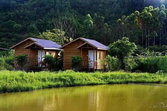 葡萄能卖到40块钱一斤,居然是因为“计划生育”!-怀孕期