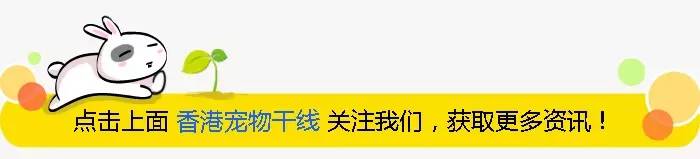 面包虫_aca面包机做酸奶奶一定要直接放在面包桶里吗_面包里有虫