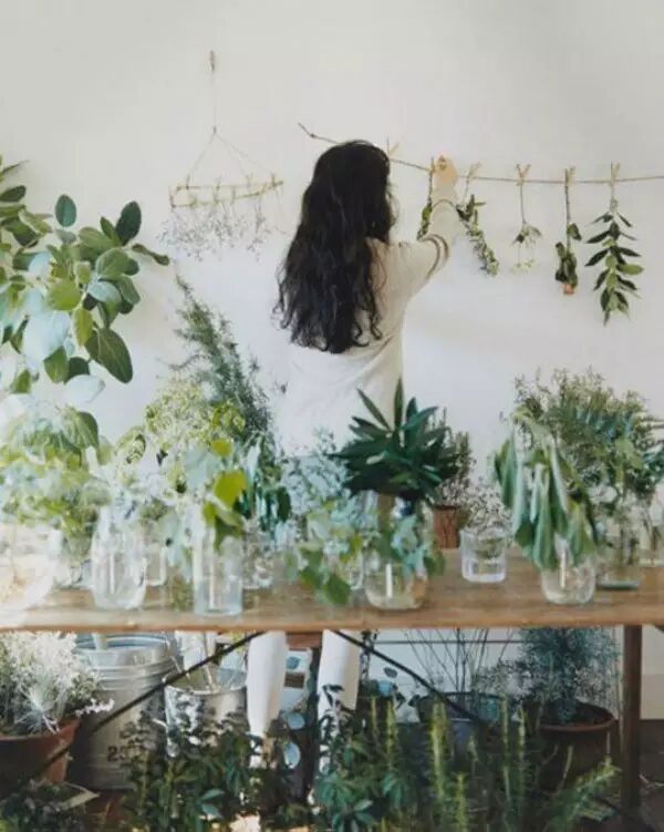 鲜花枯萎了千万别扔！！！