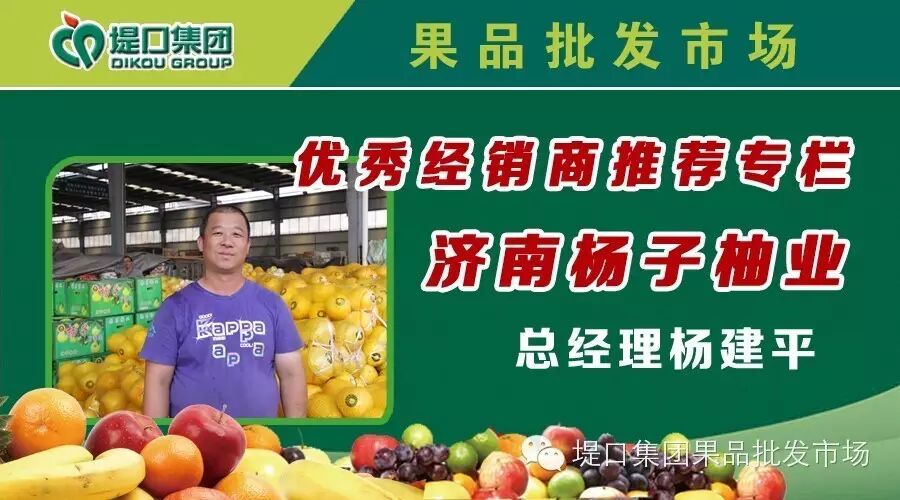 济南堤口果品批发市场推荐经销商——杨子柚业