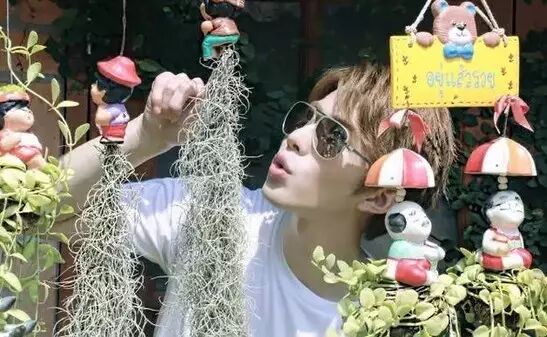 陈学冬郭碧婷恋情疑公开?二人度假照片曝光,网友:要流...