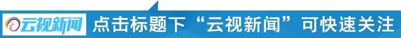 消费者物价指数年率_消费物价指数 上年为100_消费物价指数用于