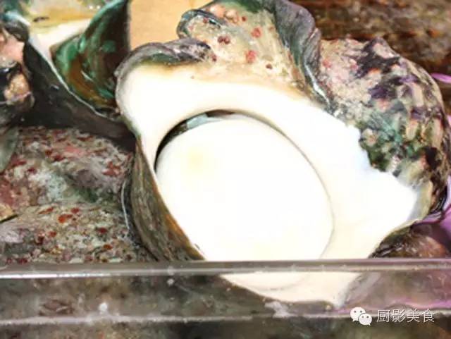 史上最全的贝类食材大会 自由微信 Freewechat