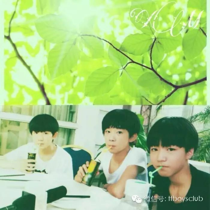 「我们陪TFBOYS,走过每个十年好不好!」