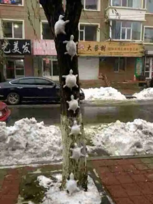 笑死我了，谁把雪人堆得这么逗？