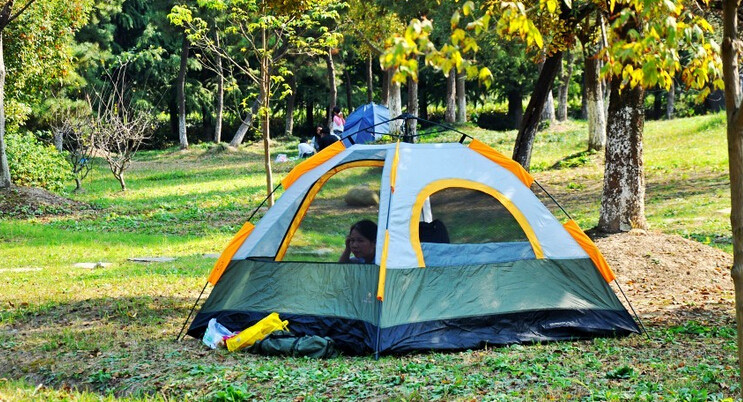 在昆山别总想着去森林公园、亭林公园、黄河路，这才是昆山春天最值得去的地方