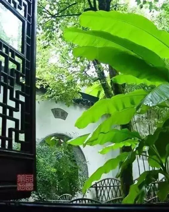 海棠诗句优美形容花开的句子_形容海棠花的优美诗句_海棠花美的诗句