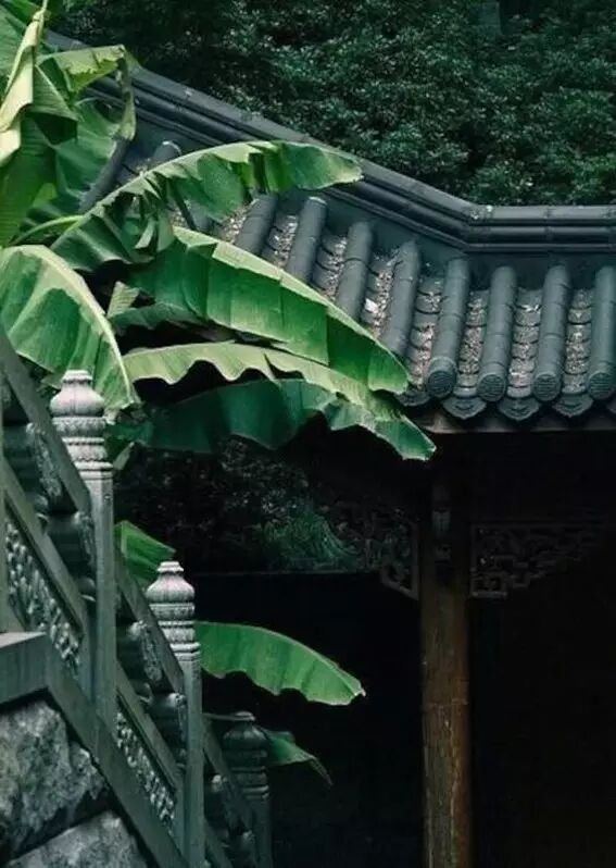 海棠诗句优美形容花开的句子_海棠花美的诗句_形容海棠花的优美诗句