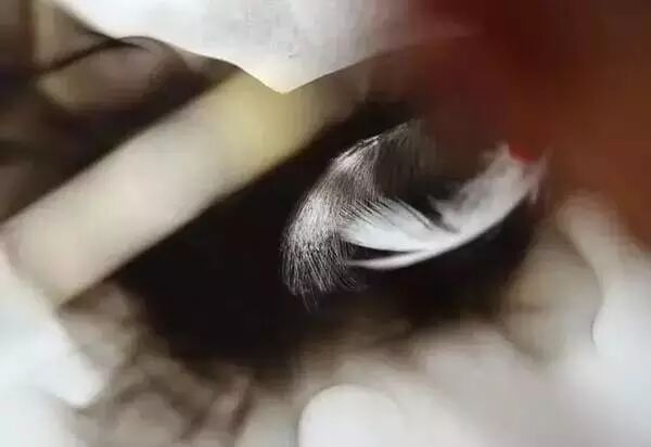 640.webp.jpg