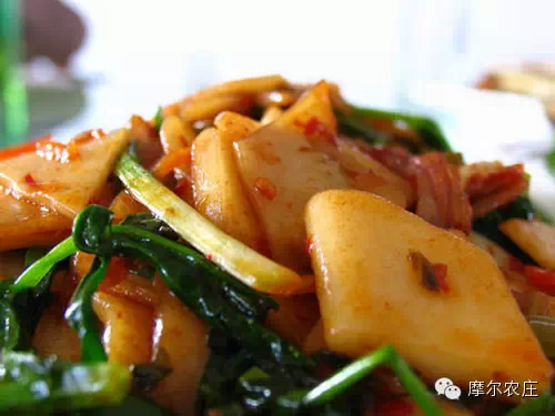 (转)我叫云南,这是我的简历 - 琴琴 - 春色满园 (转)我叫云南,这是我的简历 - 琴琴 - 春色满园