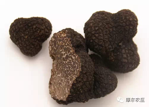 (转)我叫云南,这是我的简历 - 琴琴 - 春色满园 (转)我叫云南,这是我的简历 - 琴琴 - 春色满园