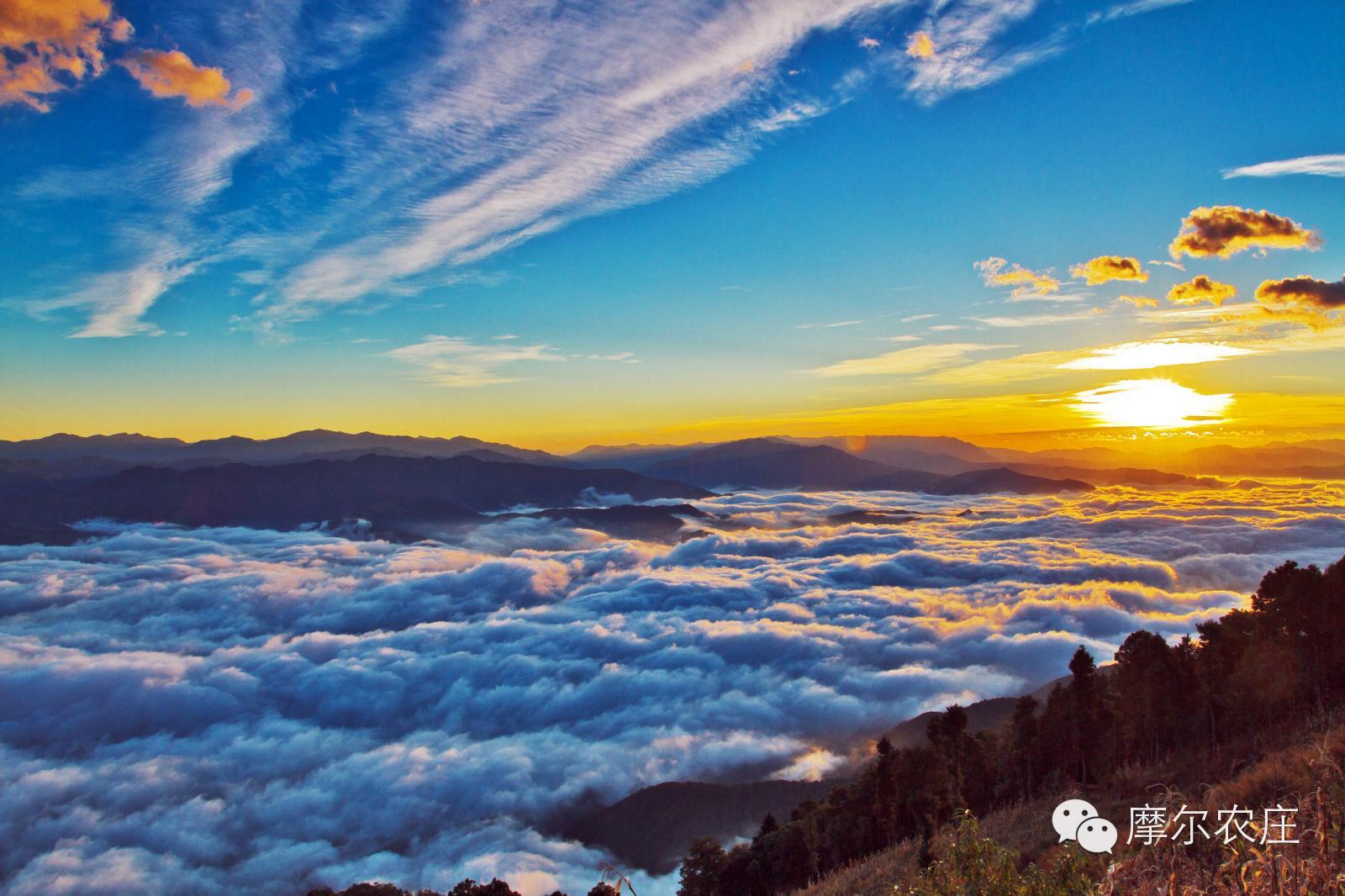 【摩尔农庄】哀牢山专题三：大山深处的神秘古国——哀牢国