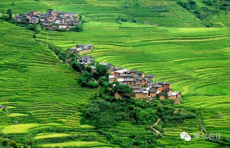 【摩尔农庄】哀牢山专题三：大山深处的神秘古国——哀牢国