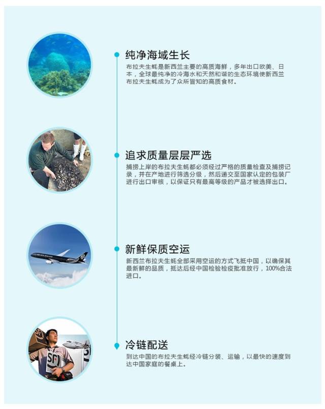 世界罕见的野生深海生蚝