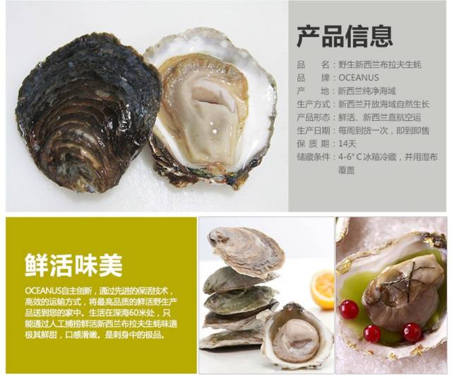 世界罕见的野生深海生蚝