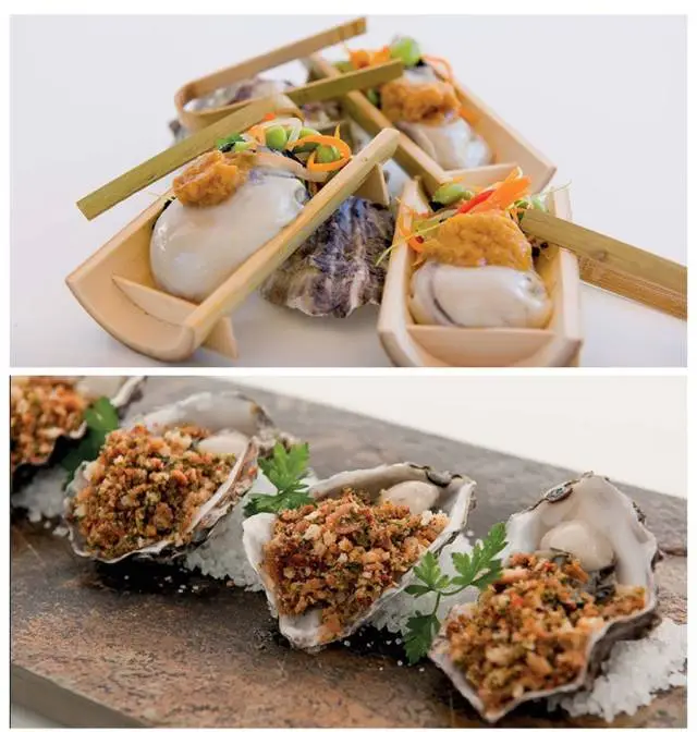 世界罕见的野生深海生蚝