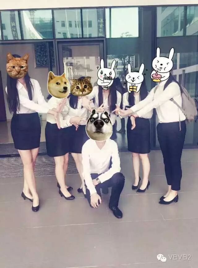 正装女生头像图片_什么样的衣服算正装女生_女生正装