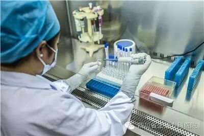 备孕:LH HCG 孕酮,这三大性激素你都明白是什么吗?-怀孕期