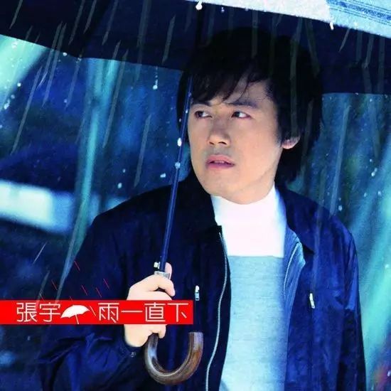月亮惹的祸,张宇