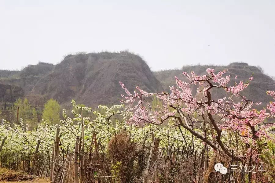 王姬之车第四十一站:“回炉”记---亲历正义的守望与传播|...
