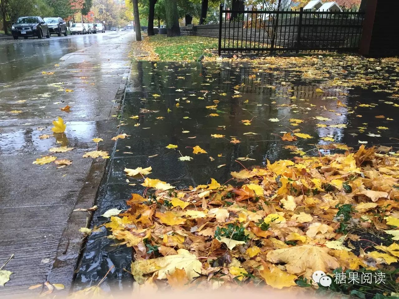 阴雨绵绵,落叶满地的万圣节前夕