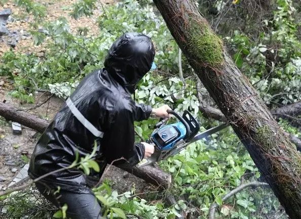 电力优质服务典型经验_电力优质服务典型经验_电力优质服务典型经验