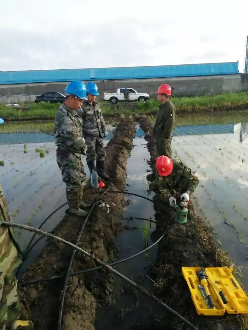 电力优质服务典型经验_电力优质服务典型经验_电力优质服务典型经验