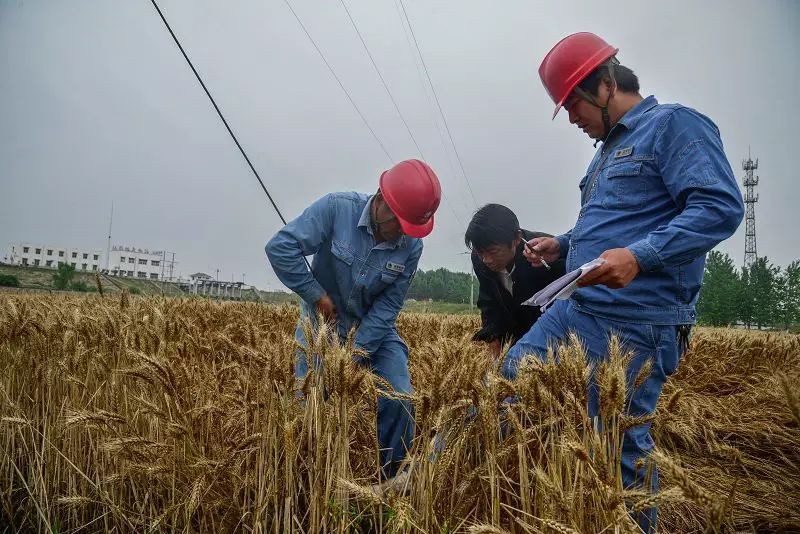 电力优质服务典型经验_电力优质服务典型经验_电力优质服务典型经验