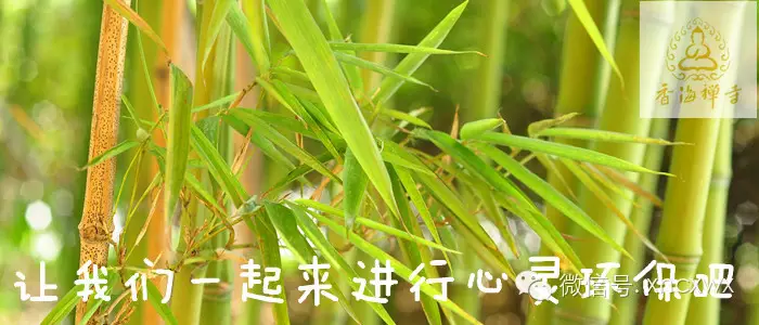 诱人的菜名背后 都有一个残忍的故事 - 贤宗 - 贤宗法师 诱人的菜名背后 都有一个残忍的故事 - 贤宗 - 贤宗法师