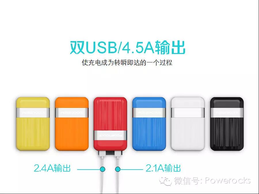 小小個體大大能量 贏者無懼唏噓