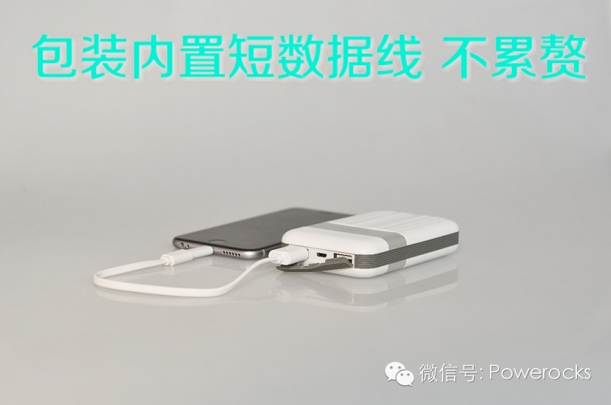 小小個體大大能量 贏者無懼唏噓