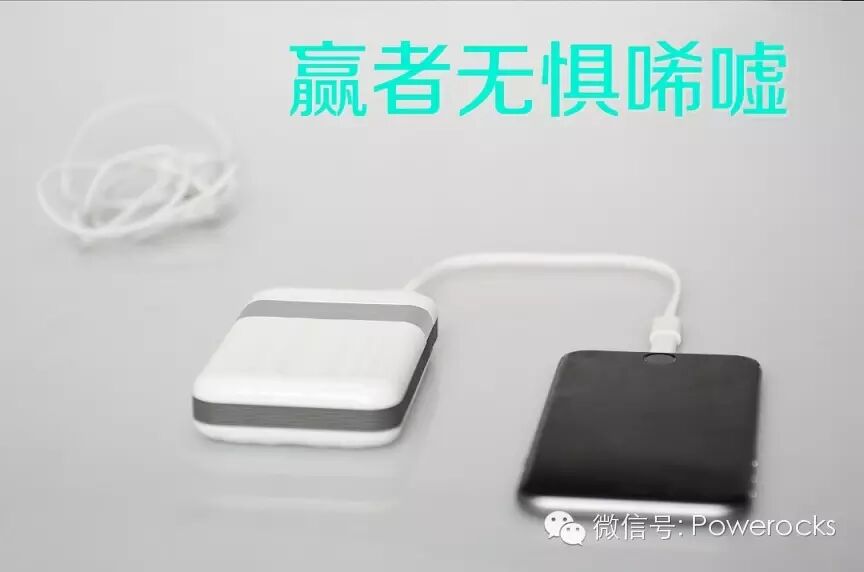 小小個體大大能量 贏者無懼唏噓