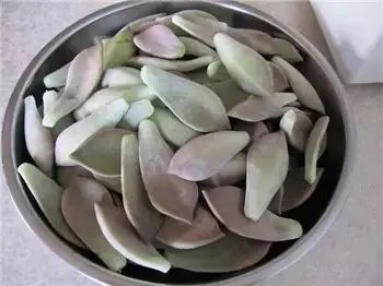 多肉,多肉植物,能吃9