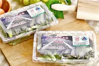 多肉,多肉植物,能吃1